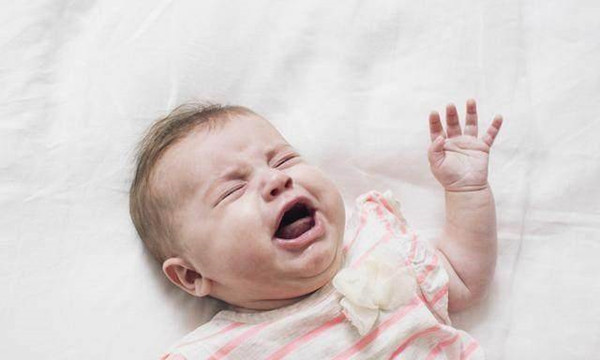 無(wú)育嬰師證四娃寶媽?xiě)赣齼荷┍痪?，?jīng)驗重要還是證書(shū)重要？